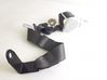 Rear seatbelt 2027499