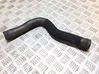 Engine coolant pipe/hose 565563897