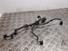 Other wiring loom 