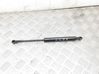 Tailgate/trunk strut/damper 