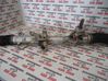 Motor y varillaje del limpiaparabrisas delantero 0098846359