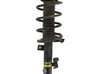Front shock absorber with coil spring 1570032