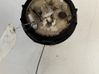 Sensor de nivel de combustible 8200704613