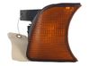 Front fender indicator light 63131384034