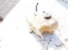 Coolant expansion tank/reservoir 