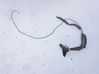Antenne radio 8E9035503T