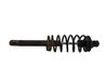 Front shock absorber with coil spring 