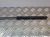 Tailgate/trunk strut/damper 1T0823359A