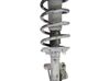 Front shock absorber with coil spring F4887