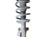 Front shock absorber with coil spring F4887