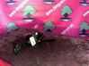 Multifunctional control switch/knob 8L0953513