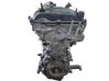 Engine P51R