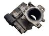 Valvola corpo farfallato 55213019