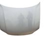 Engine bonnet/hood 3B0823155