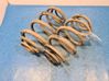 Muelle espiral trasero 