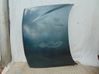 Engine bonnet/hood 6102005041