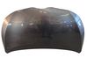 Motorhaube 