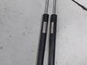 Tailgate/trunk strut/damper 8F19