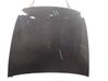 Engine bonnet/hood 7901L2