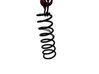 Rear coil spring 31290268