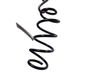Rear coil spring 550206804R