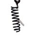 Rear coil spring 33536767345