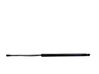 Tailgate/trunk strut/damper 95095593