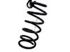 Muelle espiral trasero 5533007200