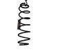 Feder hinten 7700416118