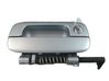Manecilla externa puerta delantera 9101H3