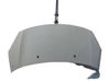 Motorhaube 7901R1