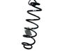 Muelle espiral trasero 9839914380