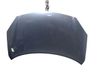 Engine bonnet/hood 651000024R