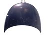 Dangtis variklio (kapotas) 5067639AB