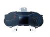 Speedometer (instrument cluster) 248091405R