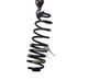 Rear coil spring 2131966