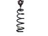 Rear coil spring 4131154P50