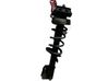 Front shock absorber/damper 6000641037