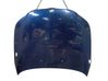 Engine bonnet/hood 41617111385