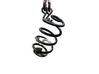 Rear coil spring 550204217R