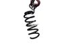 Muelle espiral trasero 550202996R
