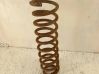 Front coil spring 