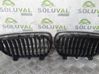 Front grill 51137166440