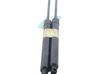 Tailgate/trunk strut/damper 2453521