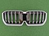 Front grill 9880301SAJMON