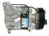 Air conditioning (A/C) compressor (pump) V09A1AA4AK