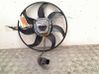 Fan set 3139613298