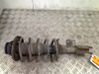 Front shock absorber with coil spring 