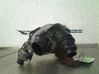 Turbo 03L253016T