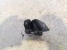 Hand parking brake switch 20170127B